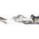 Illustration for article titled Shes Just Running With The Wolves, Man